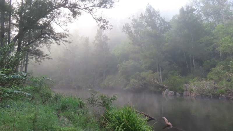 River and fog