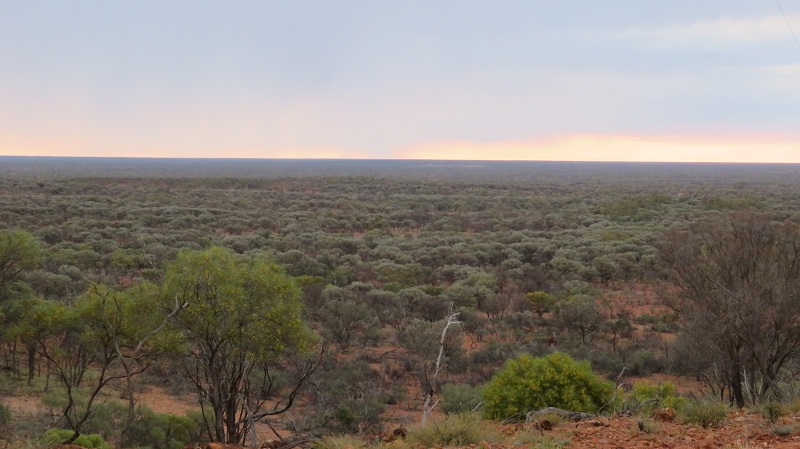 Outback Queensland