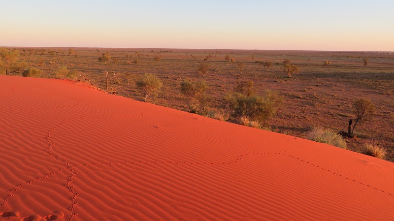 red sandhill in Queensland